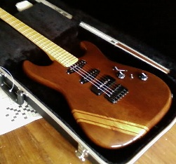 shamray custom guitar